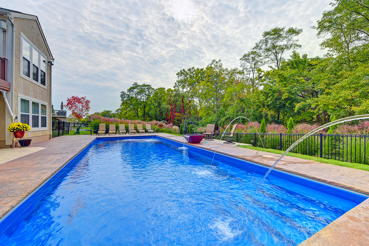 backyard swimming pool lined with lush green plants